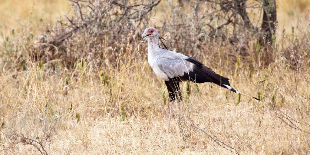 1738156309471_shutterstock_119080150