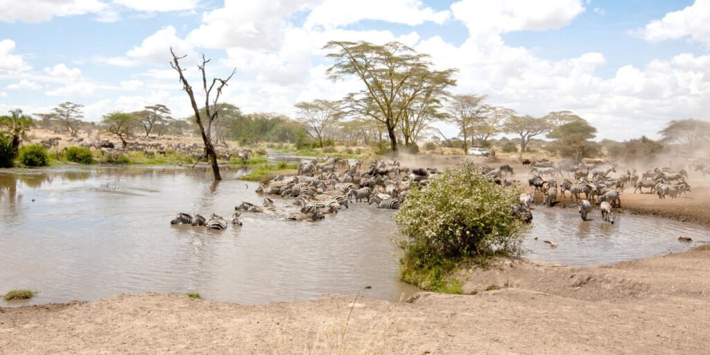 1738156309474_shutterstock_115772476