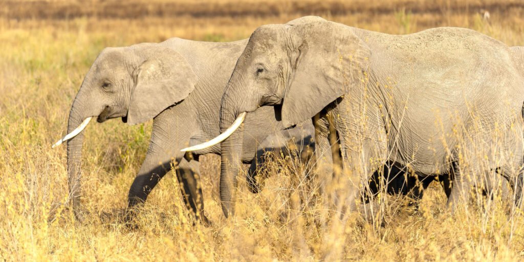 1738156338398_shutterstock_2195504945