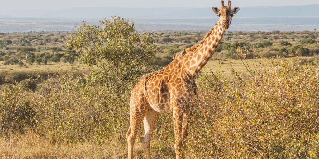 1738156338399_shutterstock_2206795893