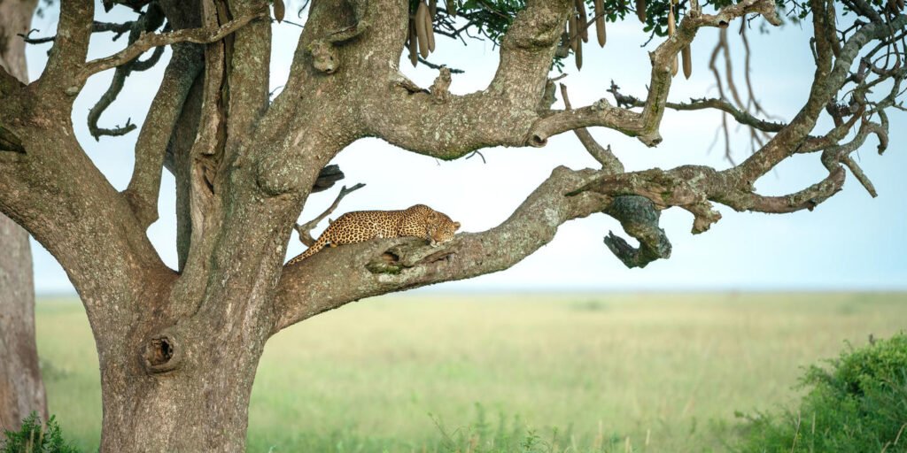 1738156338399_shutterstock_2500914359