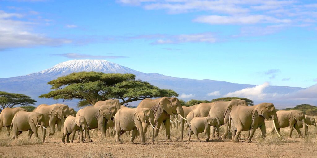 amboseli_national_park-istock-636871010