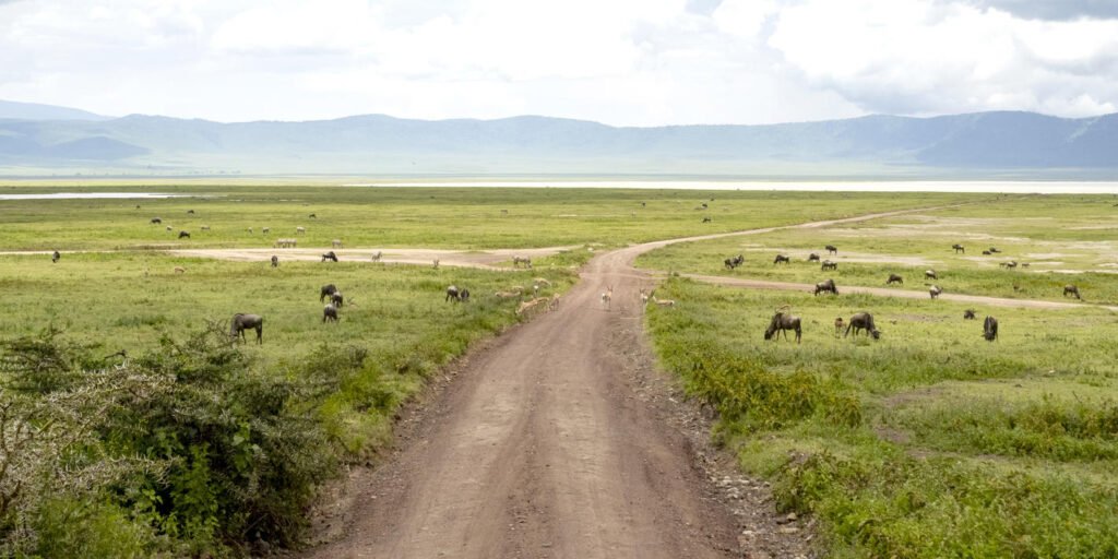 lake_magadi-istock-1313394996