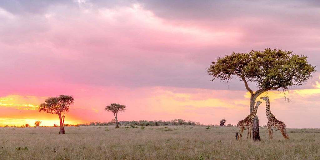 masai_mara_national_reserve-istock-1057907004