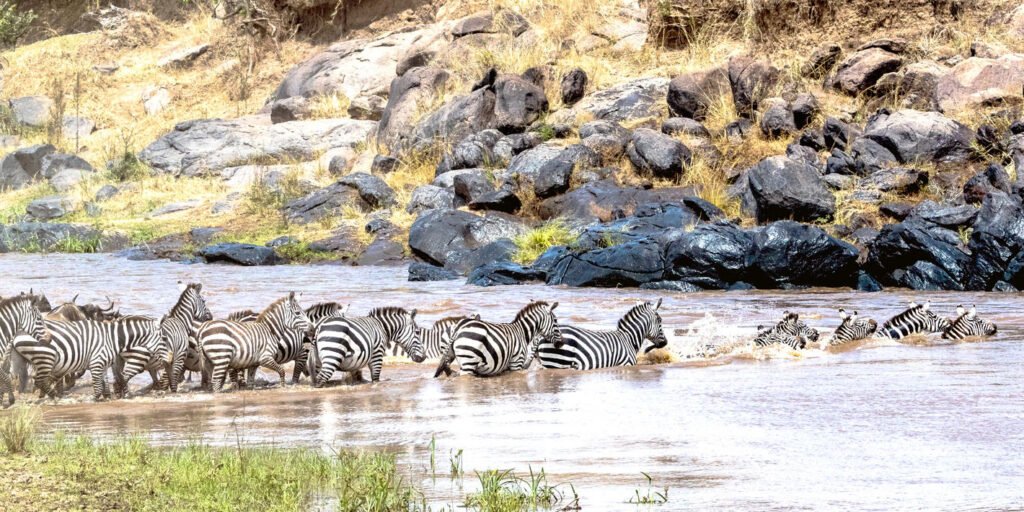 masai_mara_national_reserve-istock-1085114146