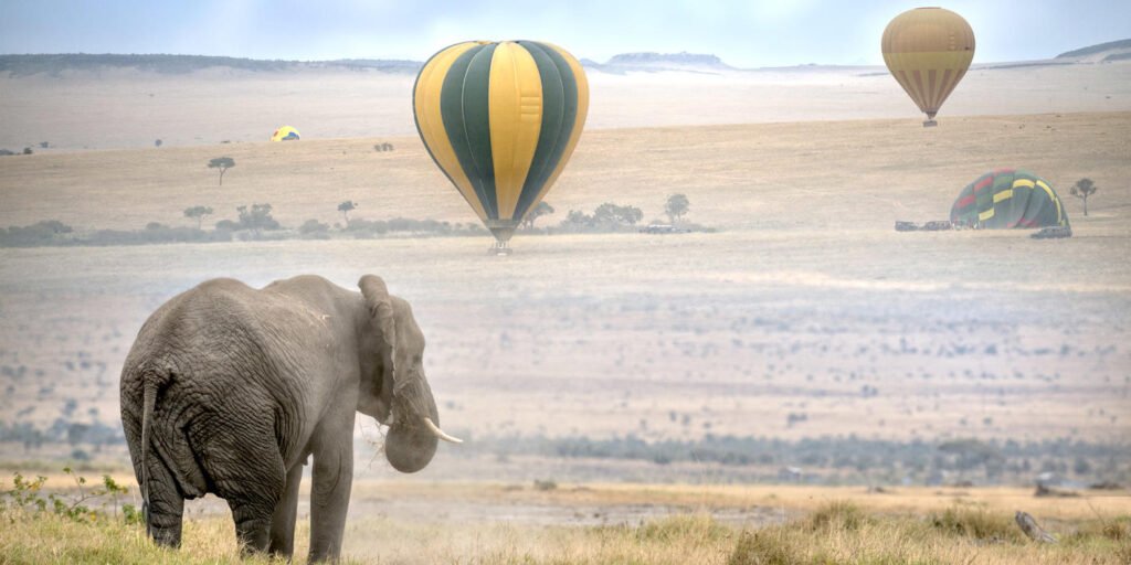 masai_mara_national_reserve-shutterstock-176735597