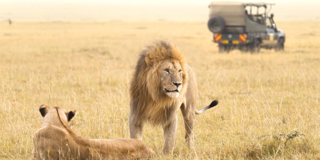 masai_mara_national_reserve-shutterstock-736795084