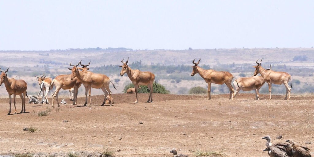 shutterstock_2359636551