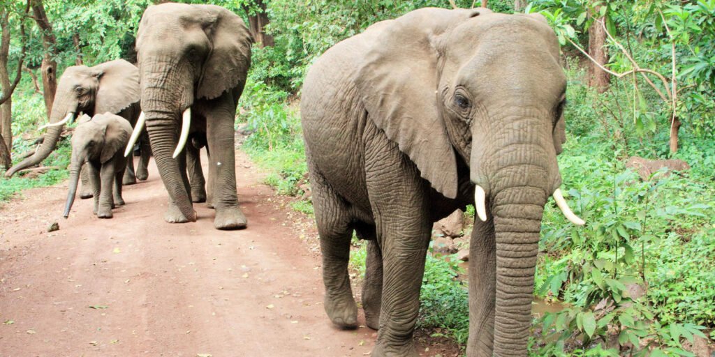 shutterstock_702424411