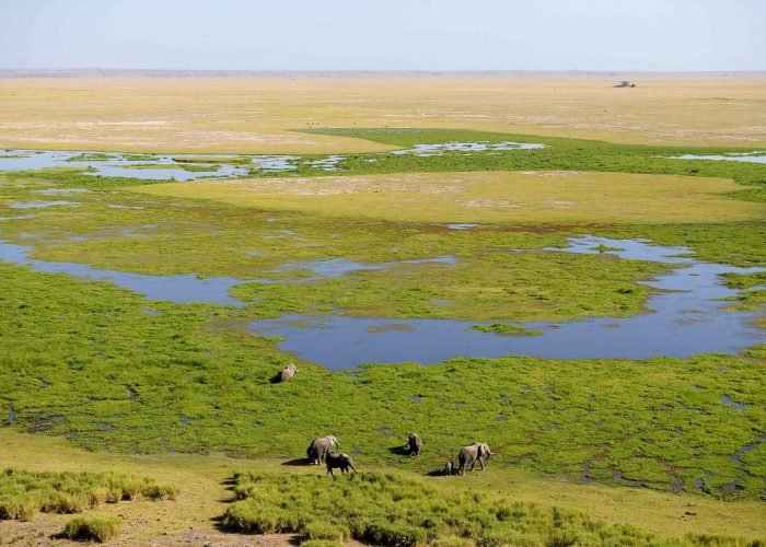 13._view_of_the_marsh_from_obsrervation_hill