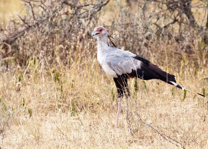 1738156309471_shutterstock_119080150