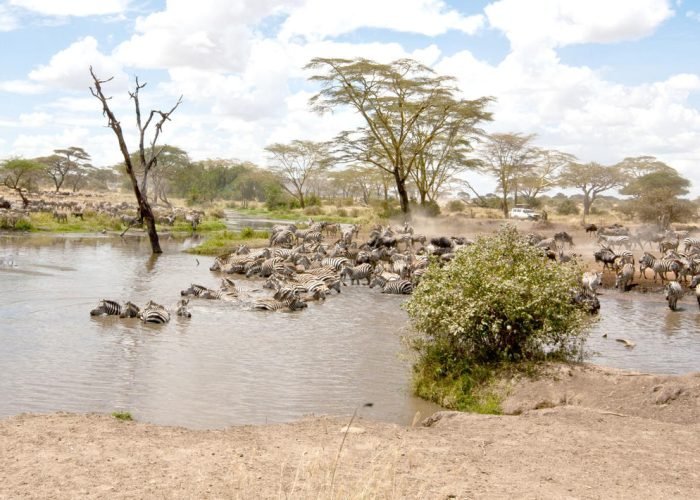 1738156309474_shutterstock_115772476