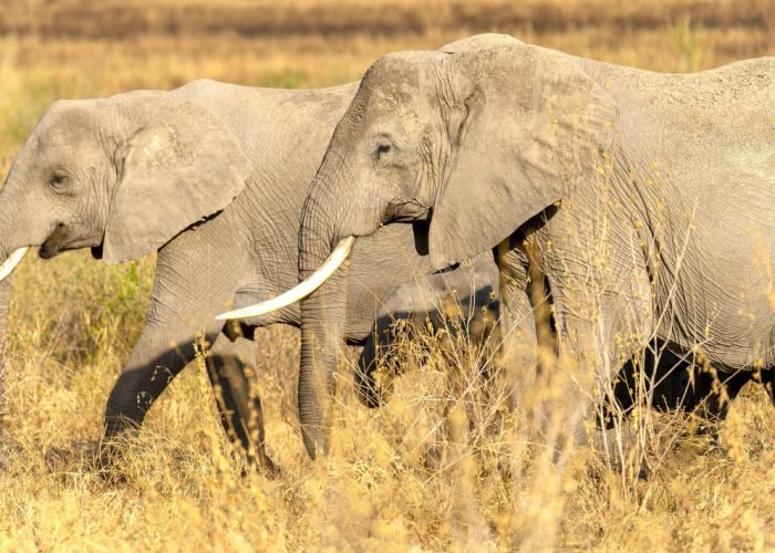 1738156338398_shutterstock_2195504945