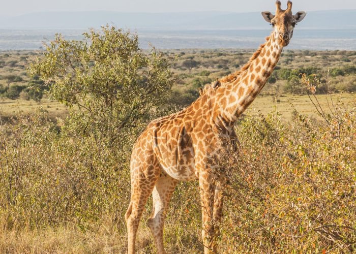 1738156338399_shutterstock_2206795893