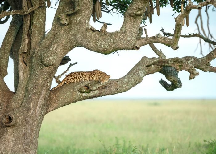 1738156338399_shutterstock_2500914359