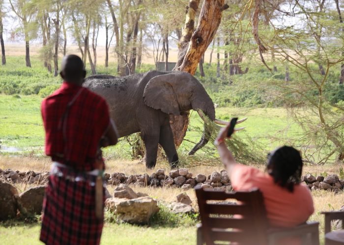 amboseli_-_waterhole