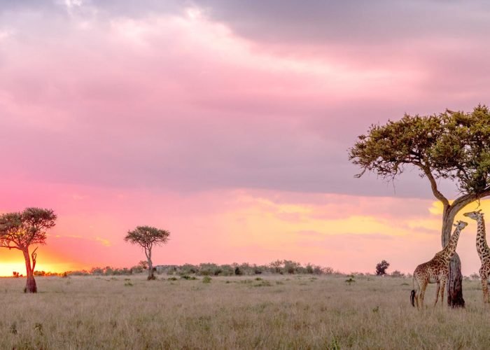 masai_mara_national_reserve-istock-1057907004
