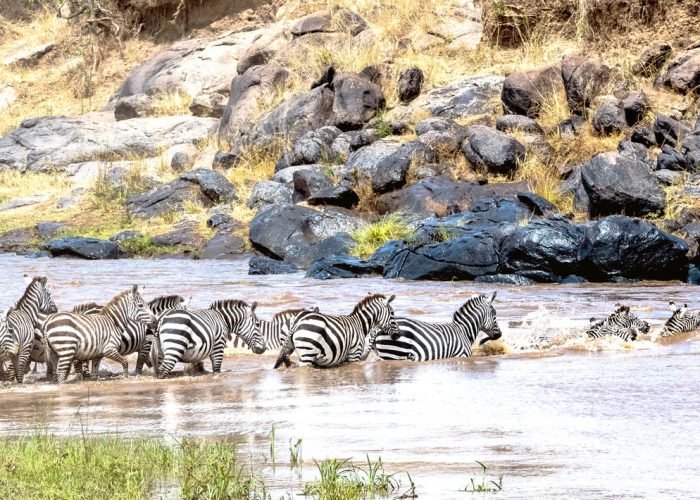 masai_mara_national_reserve-istock-1085114146