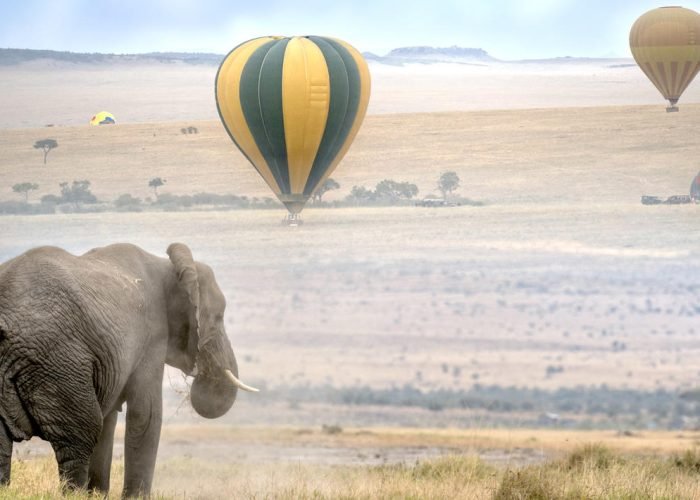 masai_mara_national_reserve-shutterstock-176735597