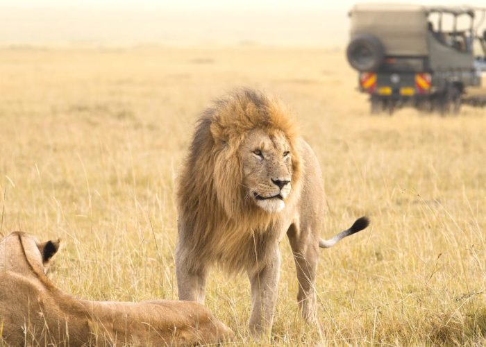 masai_mara_national_reserve-shutterstock-736795084