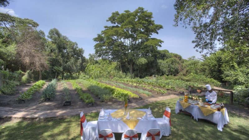 sarova_mara_game_camp_-_organic_garden_dining_1